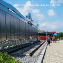 도라산식당 이미지