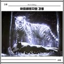 CU강릉녹색도시점 | 아르떼뮤지엄 강릉 관람시간 주차 실내 전시 정보 여행 가볼만한 곳 소개