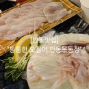 안동술집 안동 산오징어 및 해산물 맛집 &#34;통통한 오징어 안동옥동점&#34;