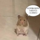 북카페 예인 | 2024, July : 인생은 선택의 연속