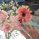 삼안로291번길 이미지