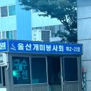 울산개미봉사회