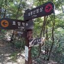 호암약수터 이미지