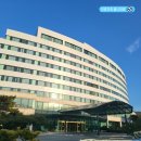 온천사우나 | 경주 더케이호텔 트리플룸 가성비 4성급 호텔 조식 스파 온천 사우나 후기