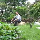 청도메기매운탕 이미지