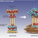 희망약국 이미지
