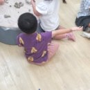 경일초 이미지