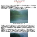 갤러리나비 이미지