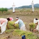 함안농요 이미지