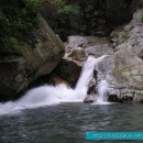 중앙고속관광㈜ 이미지