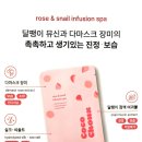 도도애견샵