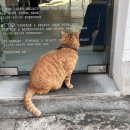 수원시 팔달구 정조로861번길, 신풍로39번길 | [수원] 수원 행궁동 데이트 코스 한눈에 보기 💛 |맛집·간식·카페·소품샵 총정리🛍️