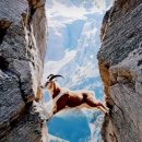 보수가 정권 재창출? 이미지