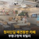 부평구청 지상주차장 | 부평구청역 청리단길 애견동반 카페 맛집, 위틸리 내돈내산 후기