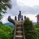 사랑이 머무는 둥지 | 세부 시티투어 오후코스 추천 직접 다녀온 여행 후기