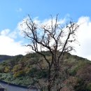 야동농장 이미지