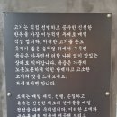 삼조 | 용인 동백 솥삼조 맛집 후기 – 솥뚜껑 삼겹살과 조개전골 모두 맛있어요!