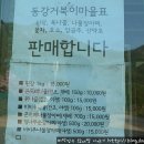 거북이민박 이미지