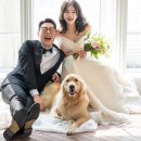 서하컴퍼니 이미지
