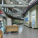 소싸움 | 청도 가볼 만한 곳 청도소싸움경기장 경기장 방문 내돈내산 후기