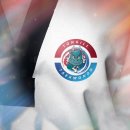 용인대통일태권도 이미지