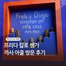(주)삶은여행 | 멕시코시티 예술 여행 프리다 칼로 생가 뮤지엄 까사 아줄 방문 후기