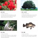 경慶 | 경상도 이름의 역사와 유래 – 천년의 역사와 문화가 살아 숨 쉬는 땅