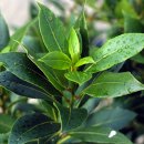 베이(bay) 이미지