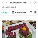 한라산 조랑말 이미지