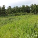 색달동-2 이미지