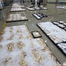 6월29일(월).6물때(사리),40척 어선(먹갈치,황석어,민어,병어,잡어 등 4,500상자 위판) 이미지