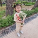 솔밭어린이집 Daum카페
