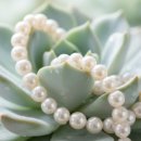 [보석디자인] 주얼리디자이너 양성과정A | [미래 직업 칼럼] 다육보석디자이너