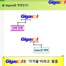 죽어가는 중에 기가솔로 살아난 리얼스토리 이미지