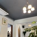 새콩커피_용호동 가로수점