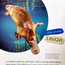 솔방리치