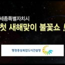 12월 31일 23시~01시 ＜세종시 첫새해맞이 멀티미디어 불꽃쇼＞ 연출합니다. 이미지