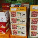 해남가스충전소 이미지