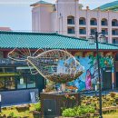 엉덩물횟집 이미지