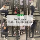 레이 피티 네이버블로그