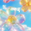 성산일출봉 후기, 짧은 등반으로 만나는 제주 최고의 전망