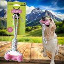 덴탈투유 이미지