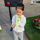 2024 고양국제꽃박람회 아이와 일산 꽃박람회 다녀온 후기 입장료 정보