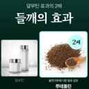 바다온누리약국 | 바다포도 앰플 &amp; 들깨기미크림 후기(ft.마미케어)