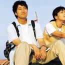 국화꽃향기 이미지