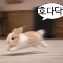성수이로12길 네이버블로그