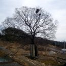 법수-1 이미지