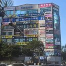 안양튼살커버 일루젼스칼프 커버베이지 안양점
