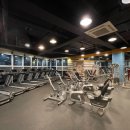 렉슬휘트니스 이미지