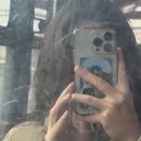 수색역 미용실 여자 c컬펌 은평구 수색동 미용실 아이디헤어 수색DMC점